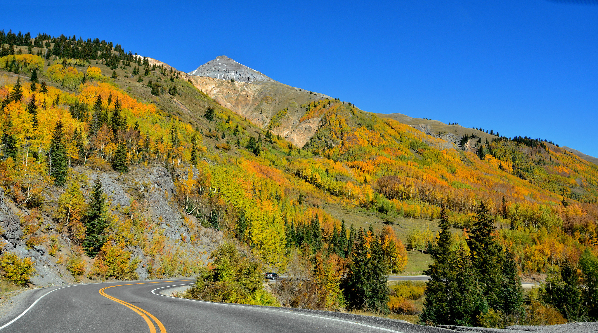 Road traveling through the mountains with trees in an array of fall colors